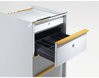 Acta.Plus Caddy-Opbergkasten-Buro International-Buro International