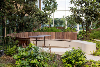 Willy Naessens Group